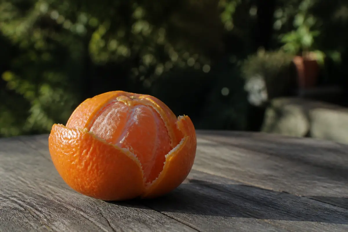 Calories d’une Clémentine : Bienfaits, Nutriments et Plus !