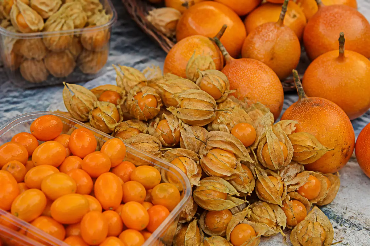 Fruits exotiques orange : Découvrez 6 variétés méconnues